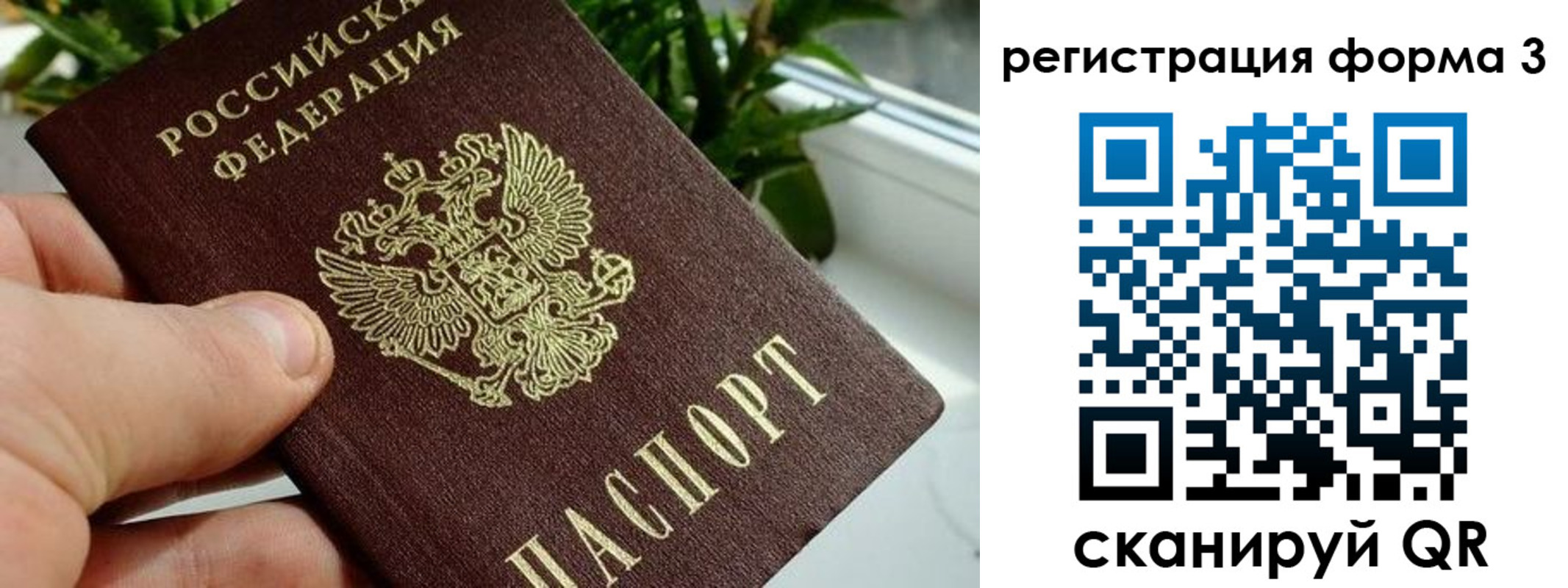 прописка штамп в Струнино